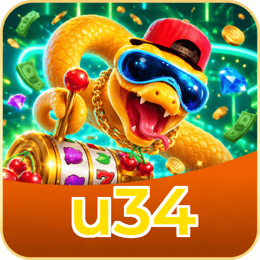 u34 VIP Program